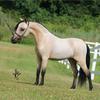  Fallen Ash Scouts Fantasie Impromptu
Little Kings Buck Outta Cyte x Fallen Ash Scouts Classic Satin
